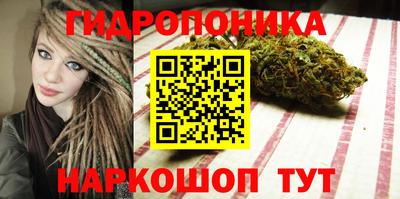 spice Мариинск