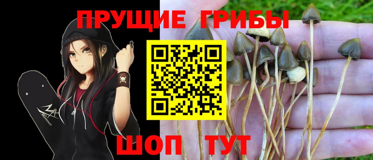 Усинск  Галлюциногенные грибы Cubensis  что такое   Вход с VPN 